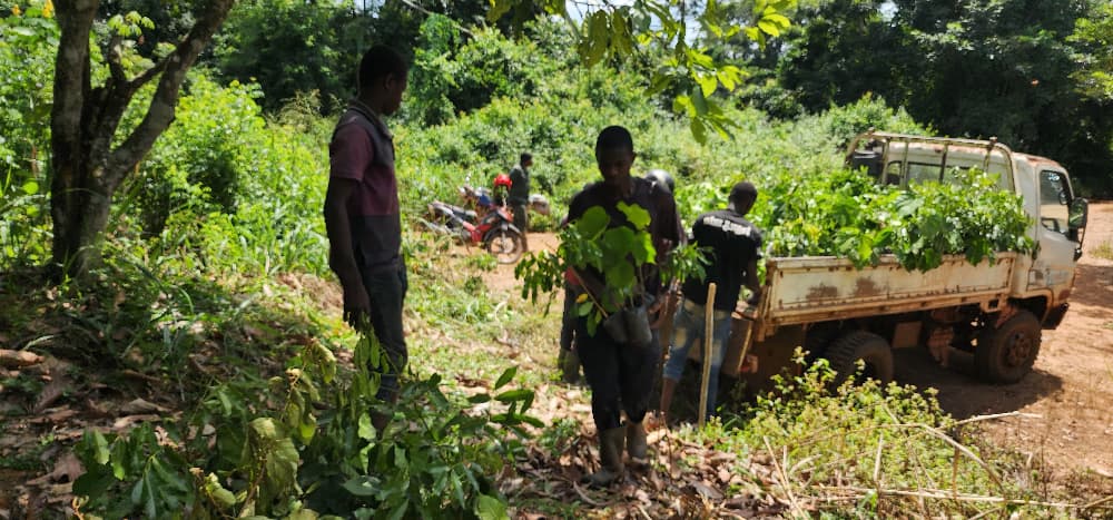 Suivi des activités de planting et distribution de plants dans la zone de Sada